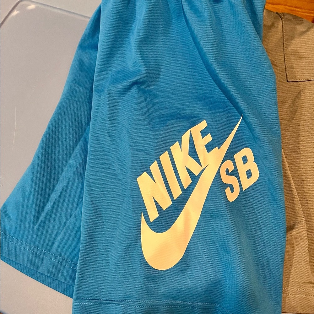 Nike SB Blue Shorts